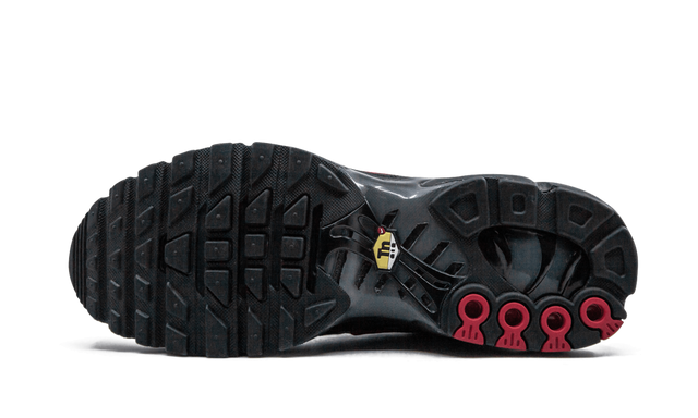 Air Max Plus Blue and Red