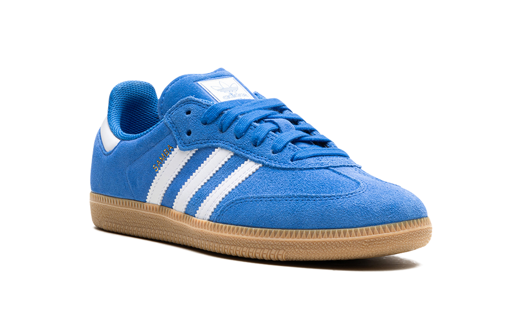 Samba Adv Blue Bird