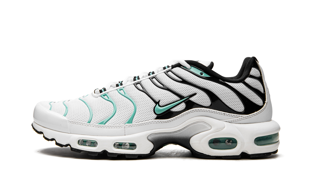 Air Max Plus Atmos