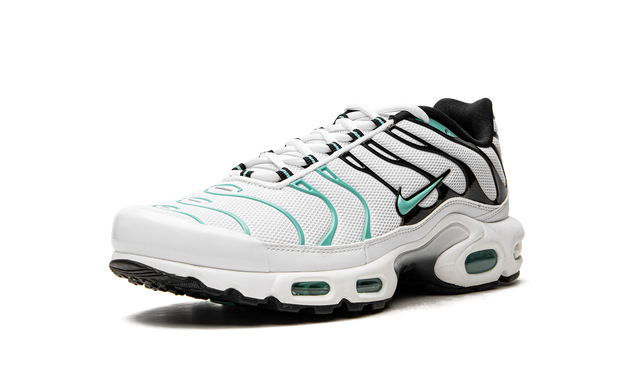 Air Max Plus Atmos