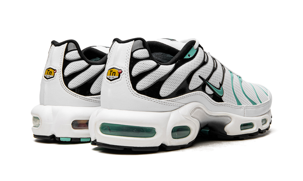 Air Max Plus Atmos