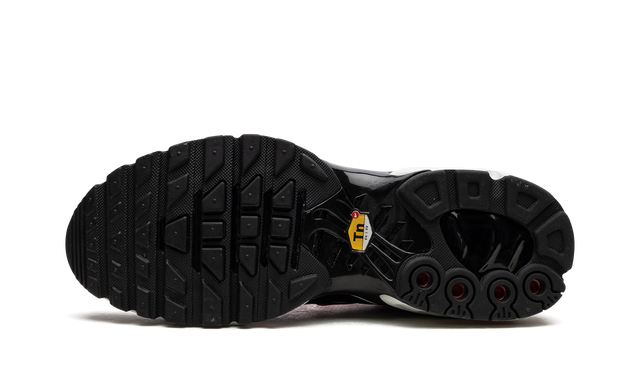 Air Max TN Plus “Dusk”