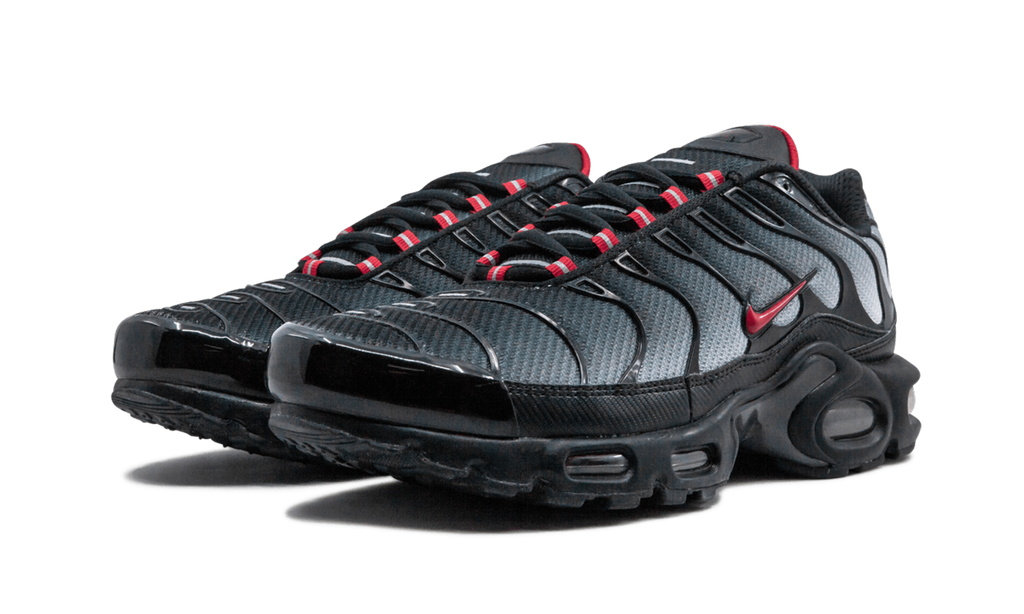 Air Max Plus Blue and Red