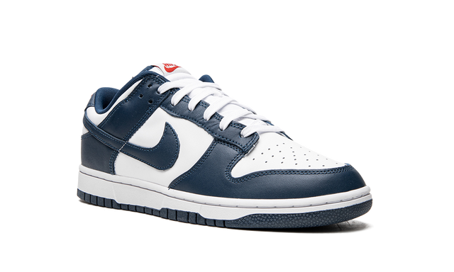 Dunk Low Valerian Blue