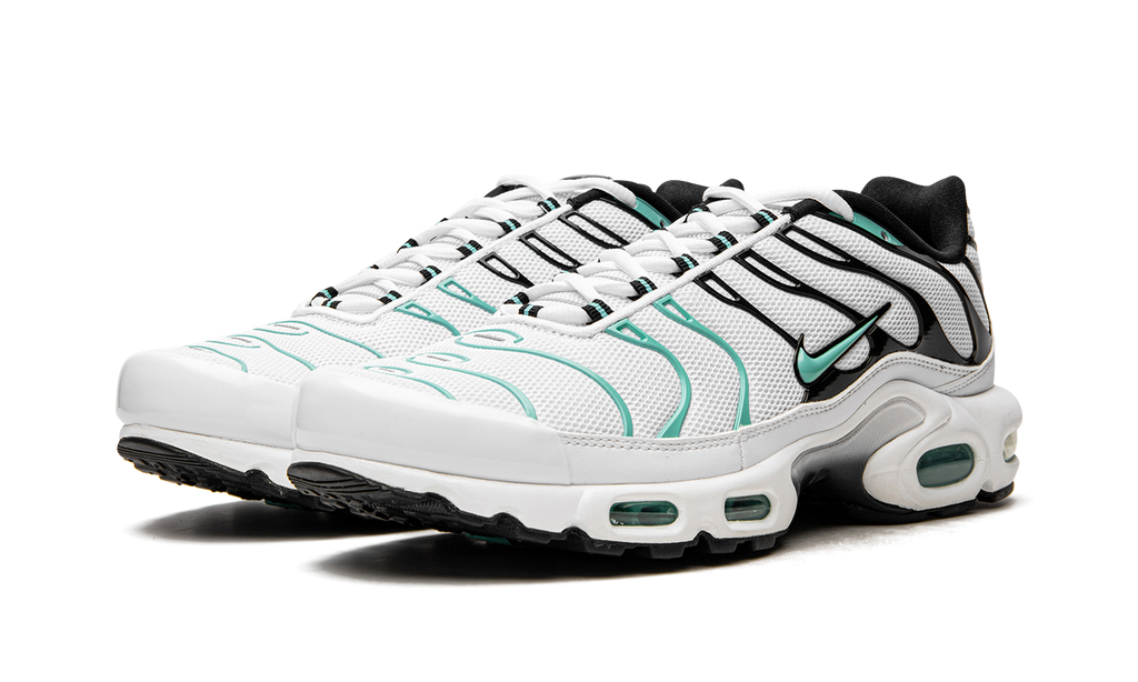 Air Max Plus Atmos