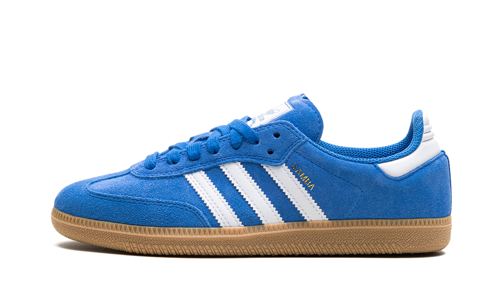 Samba Adv Blue Bird