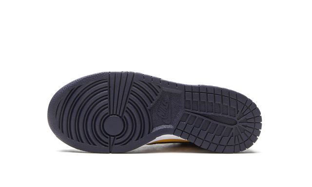 Dunk Low Michigan