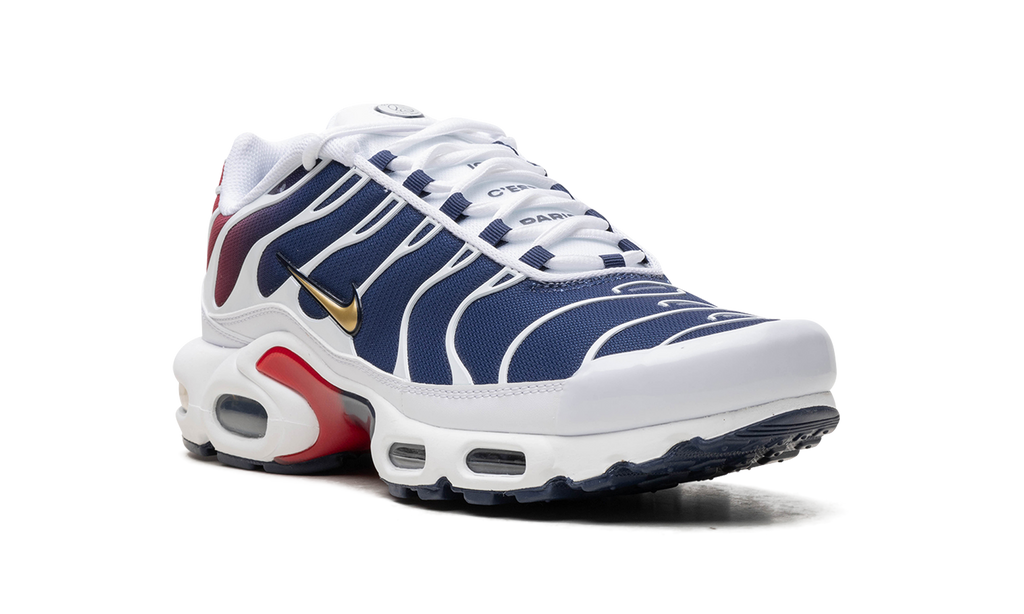 Air Max TN Plus PSG