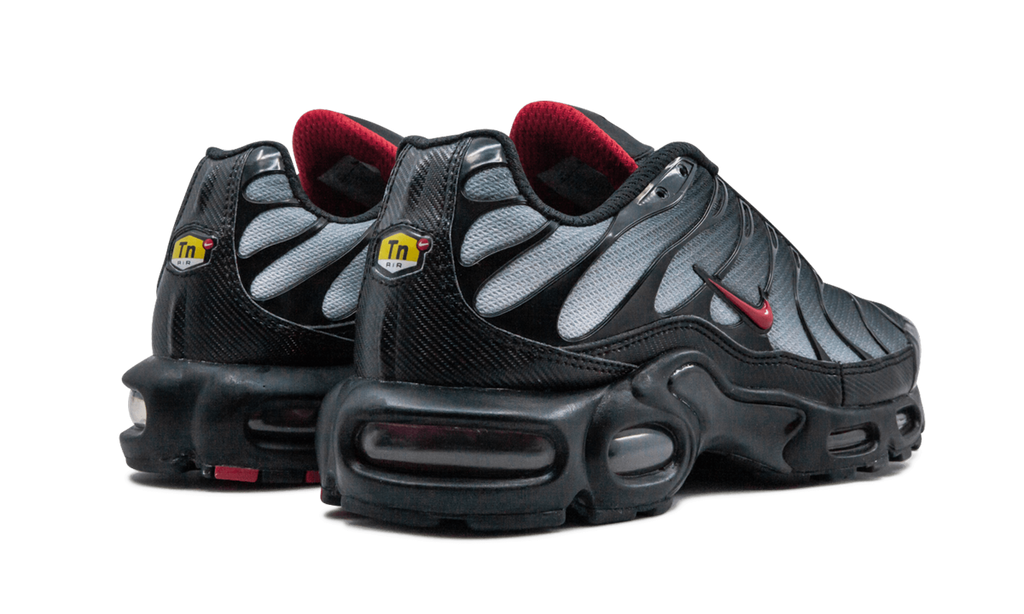 Air Max Plus Blue and Red