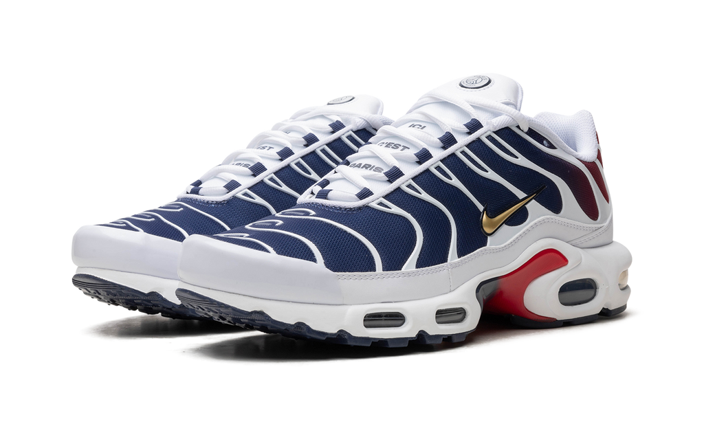 Air Max TN Plus PSG