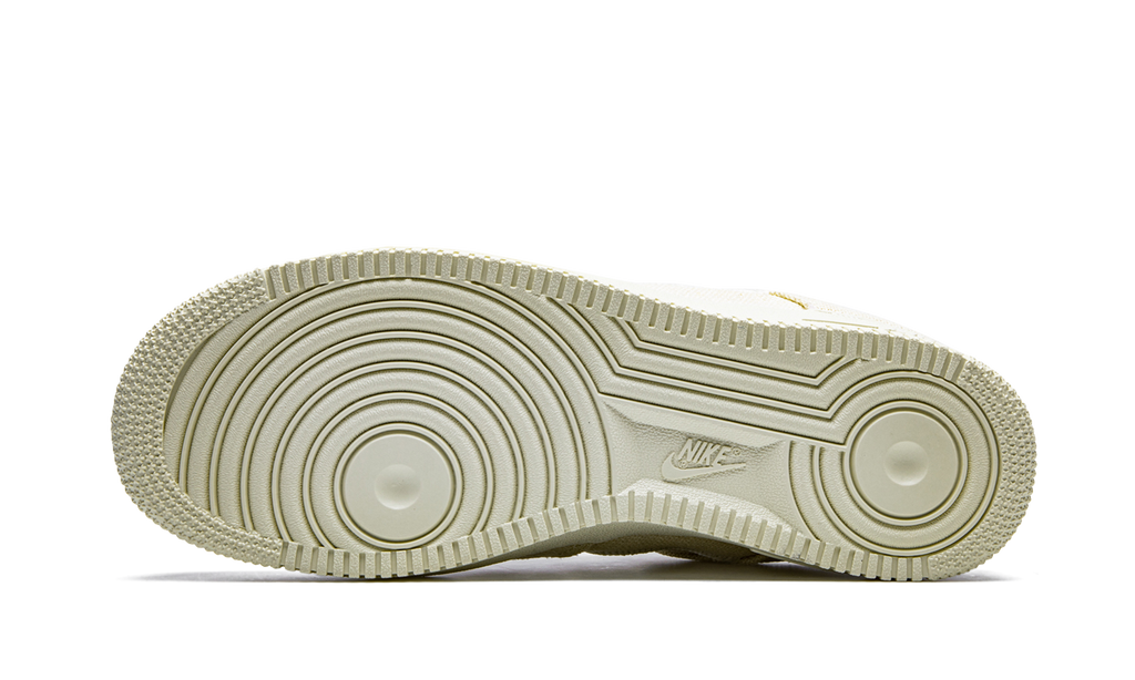 1 Stussy Fossil